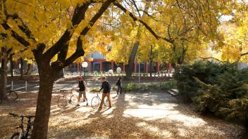 Fall colors at UCD