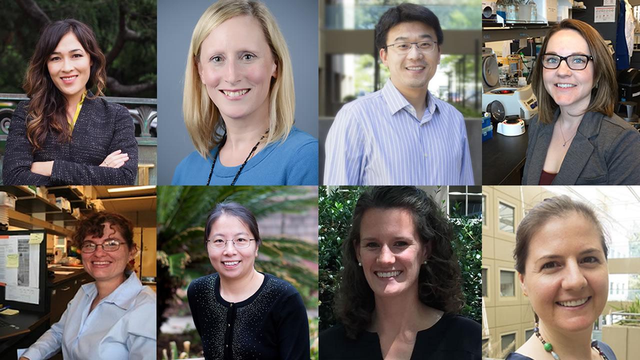 New GGNB Faculty: Top Row: Jennifer Falbe, Melanie Gareau, Peng Ji, Mary Kable; Bottom Row: Danielle Lemay, Yanhong Liu, Christine McDonald, Elizabeth Prado GGNB Faculty 2018